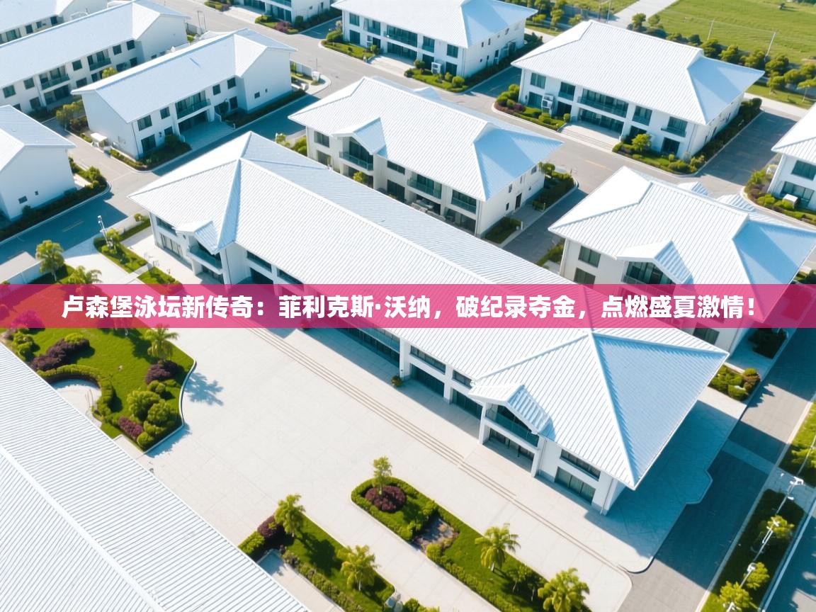 卢森堡泳坛新传奇：菲利克斯·沃纳，破纪录夺金，点燃盛夏激情！  第1张